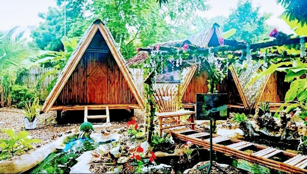 Moalboal Bamboo House / Rooms Εξωτερικό φωτογραφία