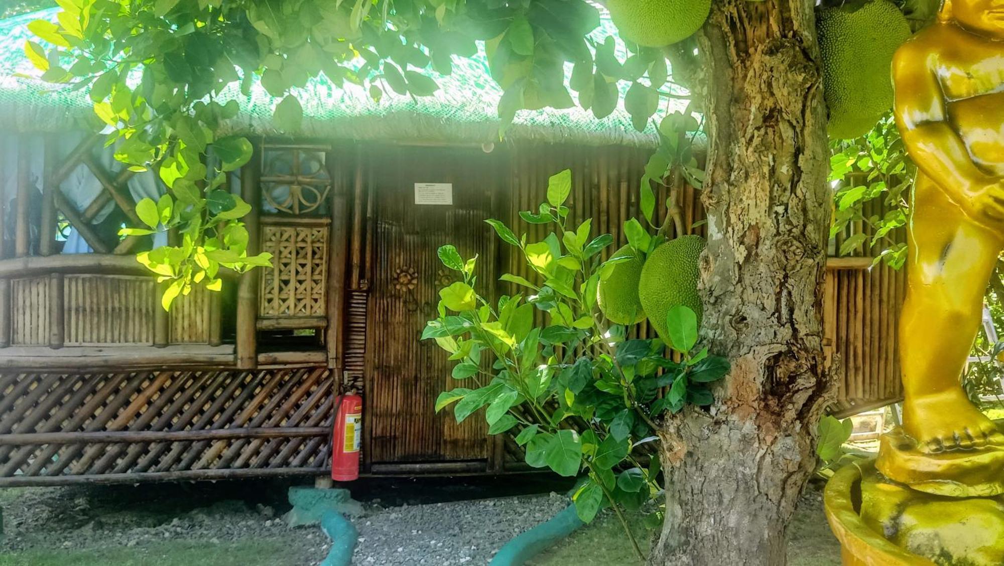 Moalboal Bamboo House / Rooms Δωμάτιο φωτογραφία
