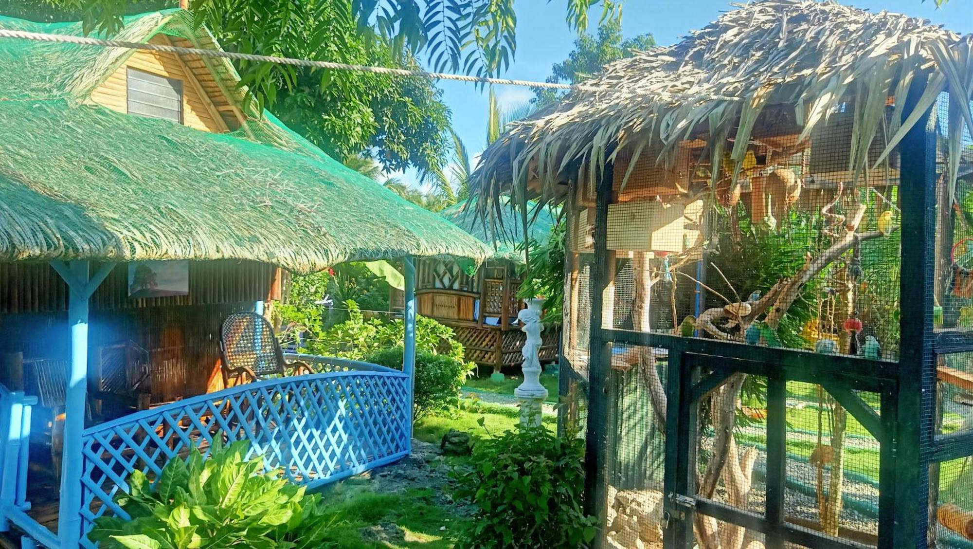 Moalboal Bamboo House / Rooms Δωμάτιο φωτογραφία