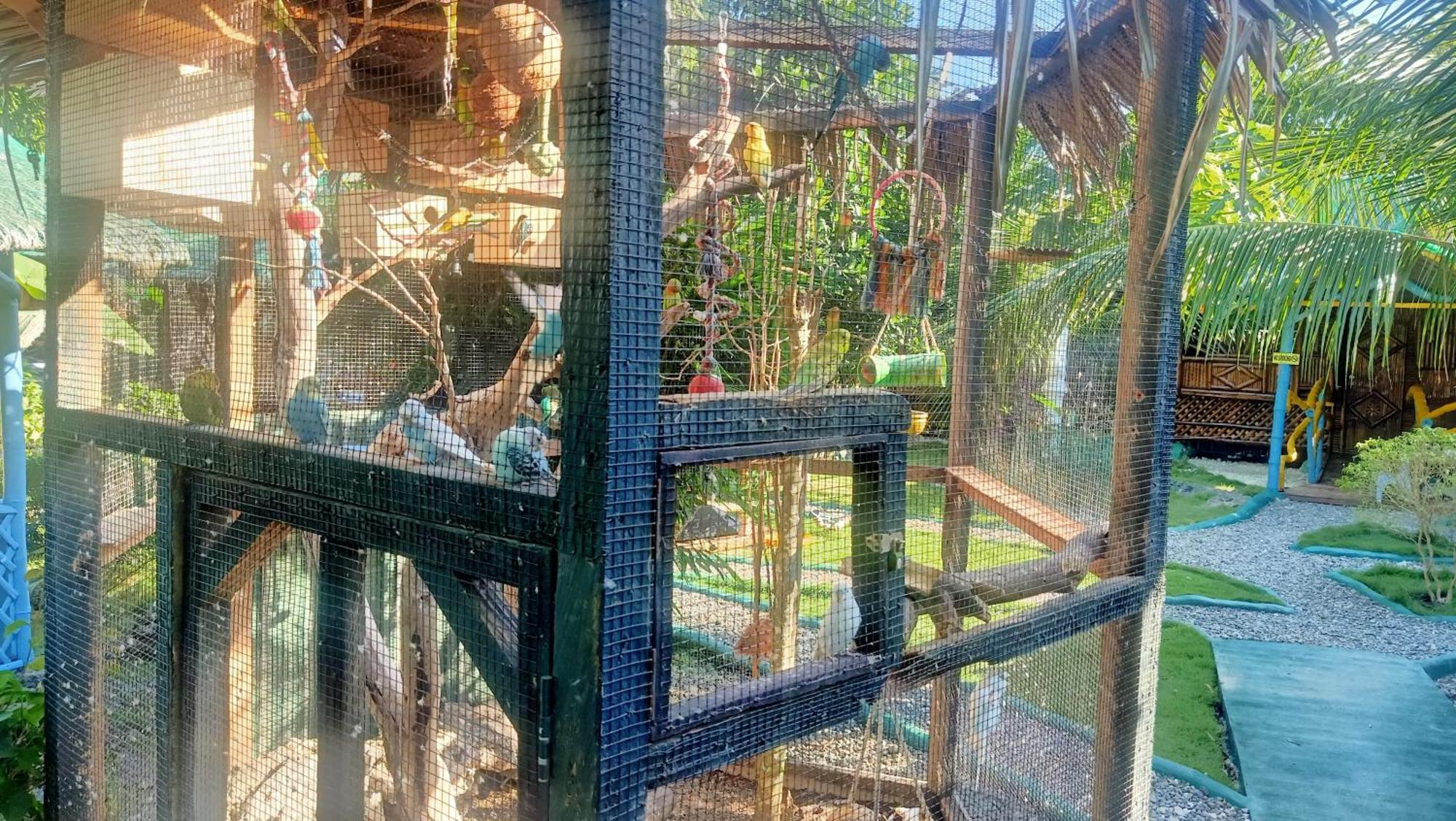 Moalboal Bamboo House / Rooms Δωμάτιο φωτογραφία